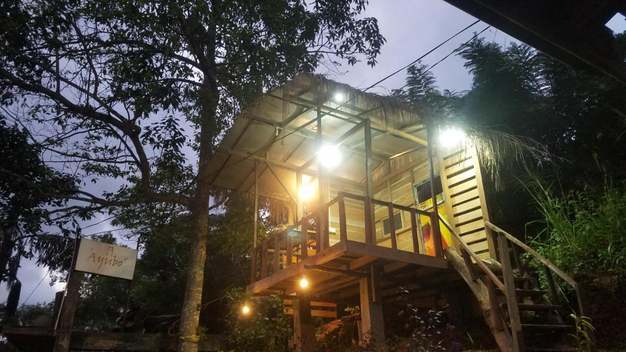 Ayubo Ella - Bed & Breakfast Zewnętrze zdjęcie