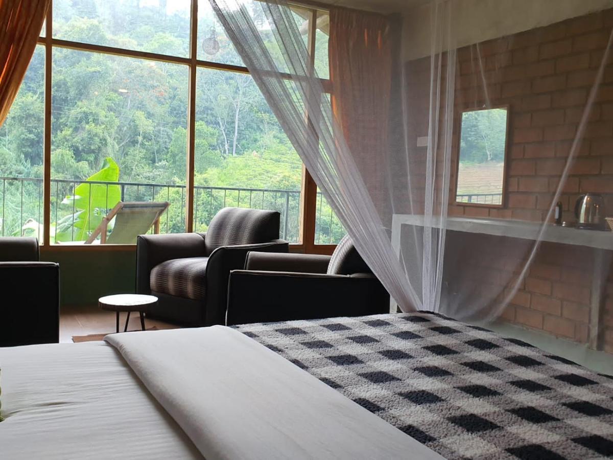 Ayubo Ella - Bed & Breakfast Zewnętrze zdjęcie